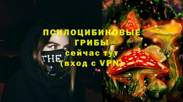 героин Алексин