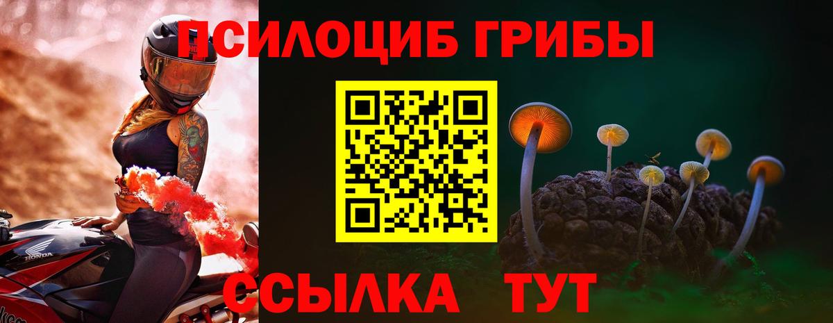 Ливны  Псилоцибиновые грибы Magic Shrooms  Вход с VPN  Галлюциногенные грибы GOLDEN TEACHER 